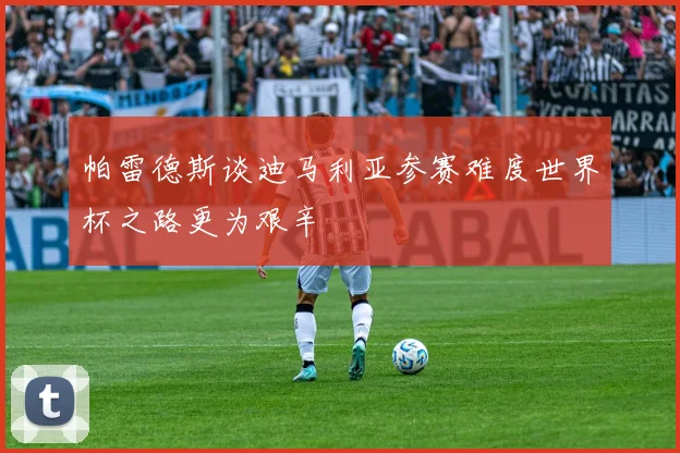 帕雷德斯谈迪马利亚参赛难度世界杯之路更为艰辛
