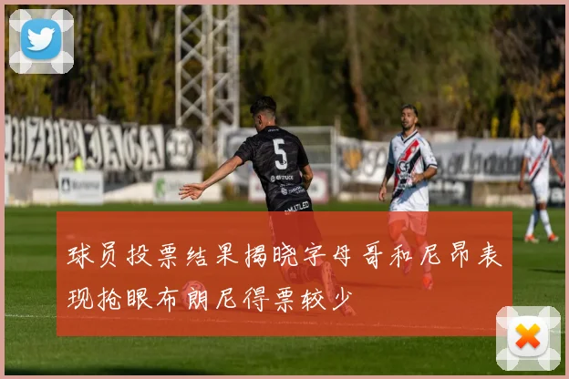 球员投票结果揭晓字母哥和尼昂表现抢眼布朗尼得票较少