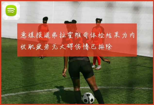 意媒报道弗拉霍维奇体检结果为内收肌疲劳无大碍伤情已排除